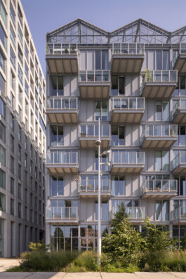 De Warmoes - residential project in Oostenburg, Amsterdam by Workshop Architecten, photographed by Anna Odulinska