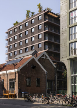 De Keizer, De Hout - residential projects in Oostenburg, Amsterdam by Workshop Architecten, photographed by Anna Odulinska