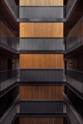 De Keizer, De Hout - residential projects in Oostenburg, Amsterdam by Workshop Architecten, photographed by Anna Odulinska